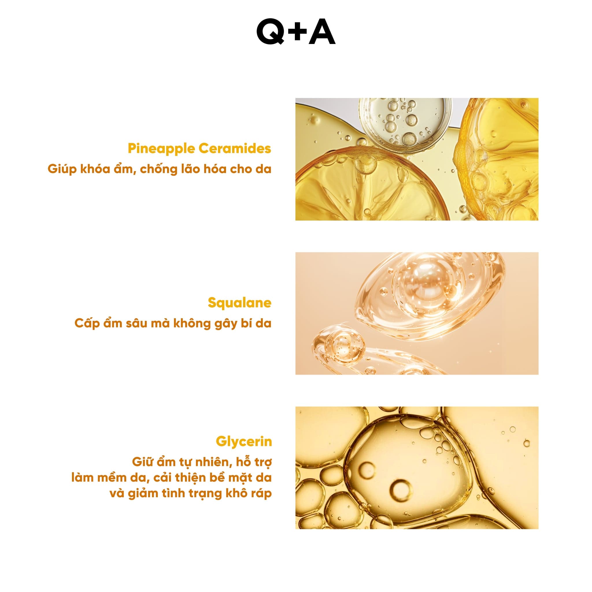 Q+A Sữa dưỡng Ceramide Body Lotion 250ml thumb 7