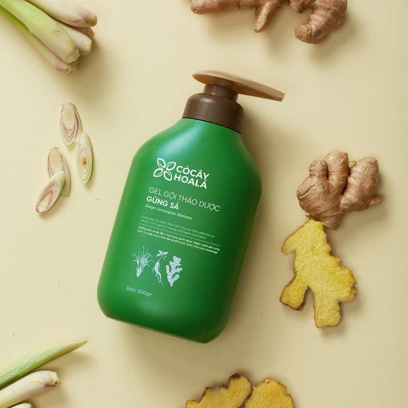 CoCayHoaLa Gel gội thảo dược Gừng Sả 500g thumb 2