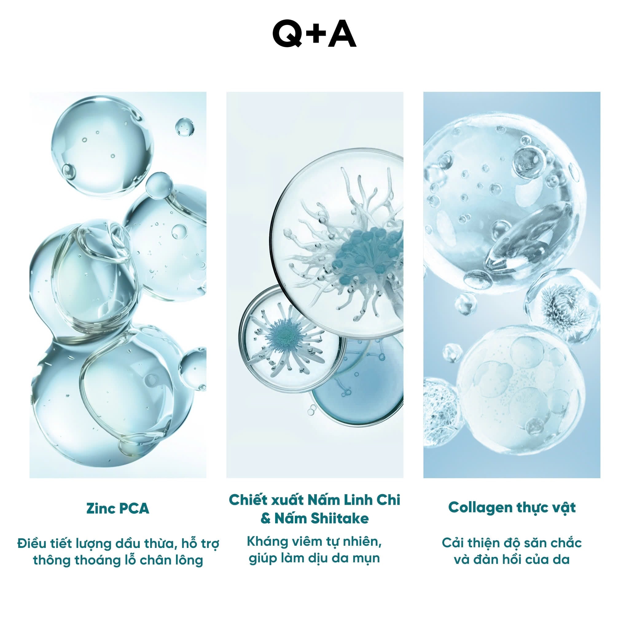 Q+A Tinh chất Zinc PCA Facial Serum 30ml 4