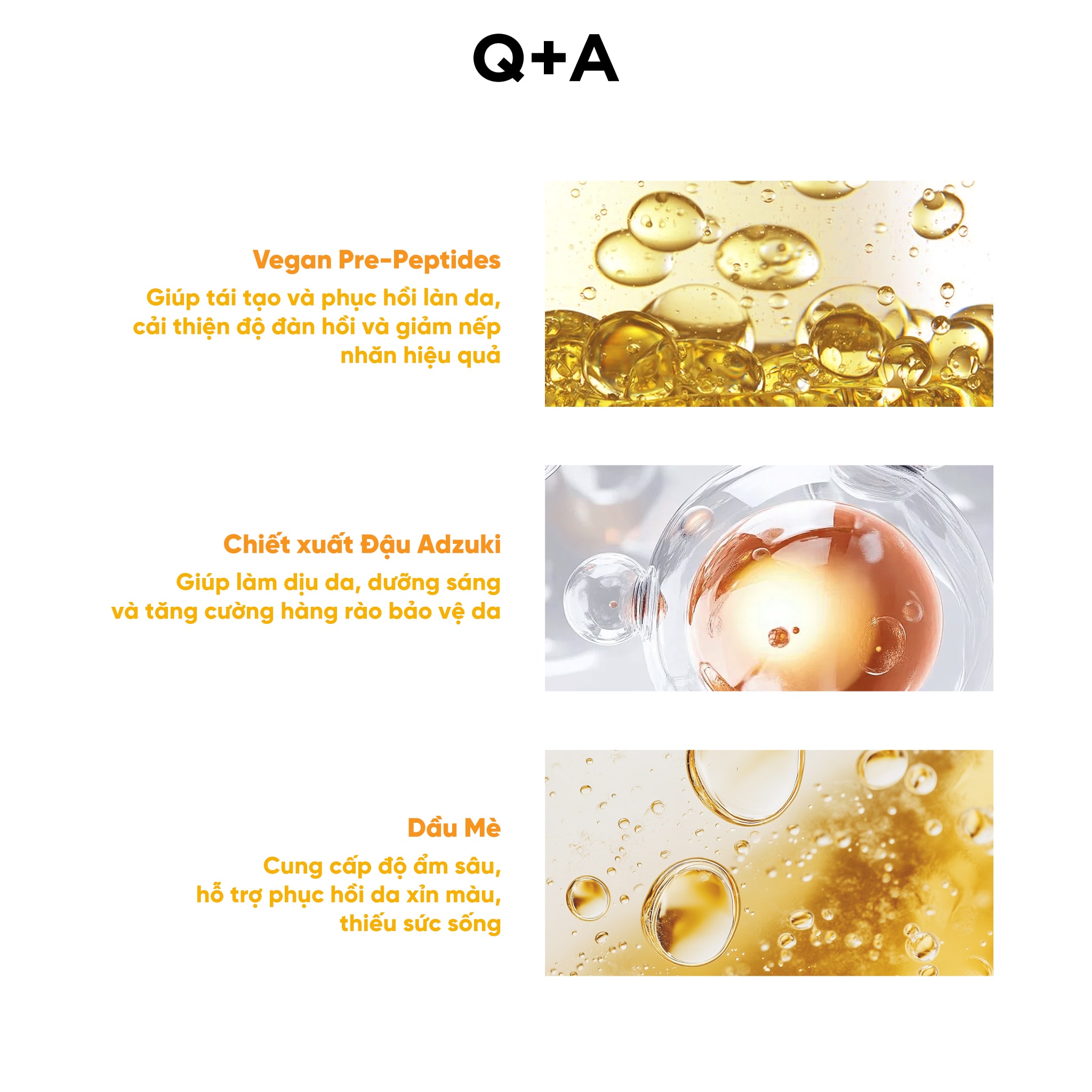 Q+A Kem chống nắng Peptide Anti-Ageing Daily Sunscreen 50ml 10