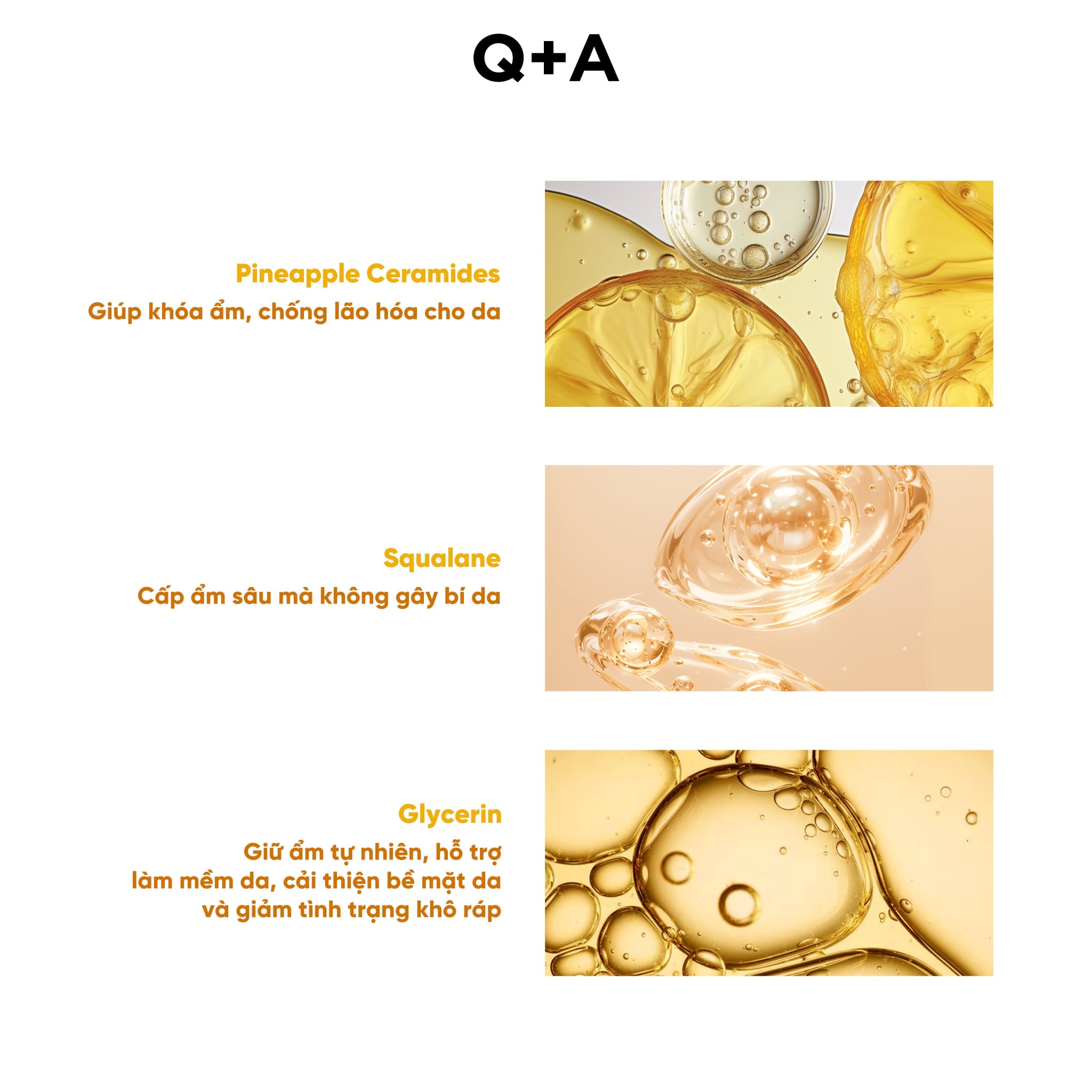 Q+A Sữa dưỡng Ceramide Body Lotion 250ml 7