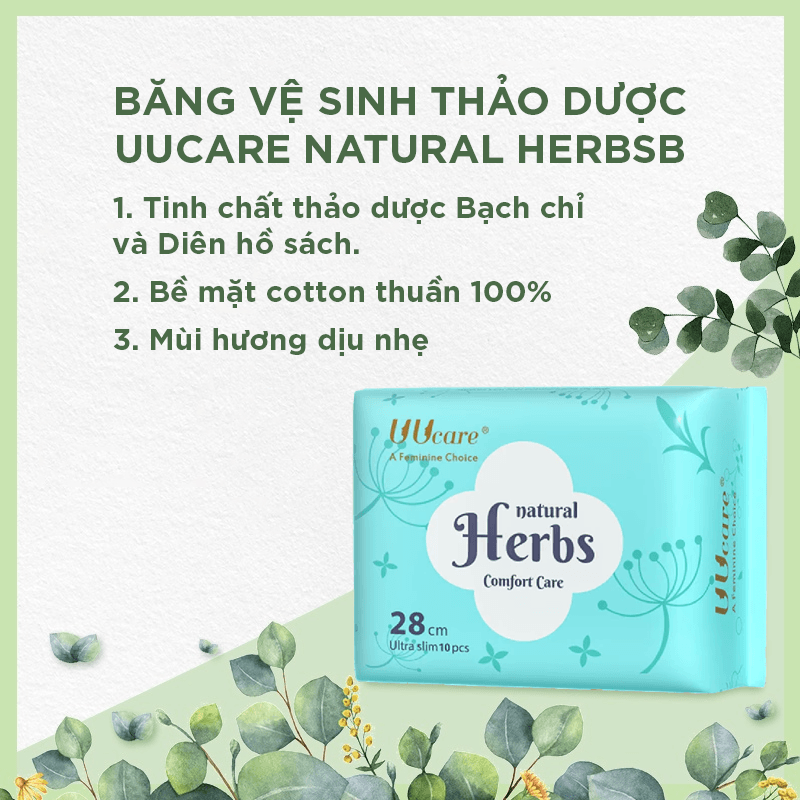 Uucare Natural Herbs BVS thảo dược ban ngày 28cm x 10 miếng 2