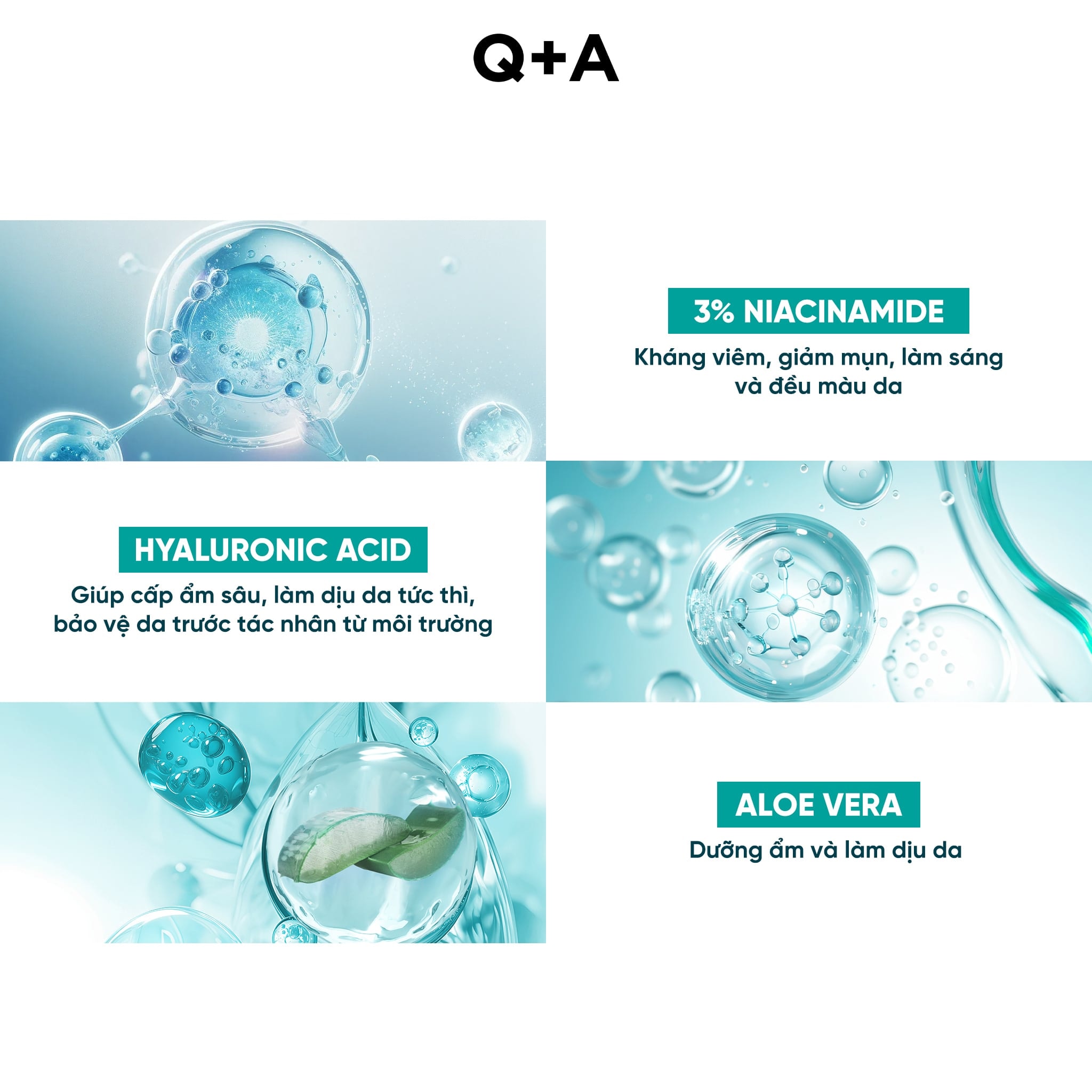 Q+A Nước hoa hồng Niacinamide Daily Toner 100ml 4