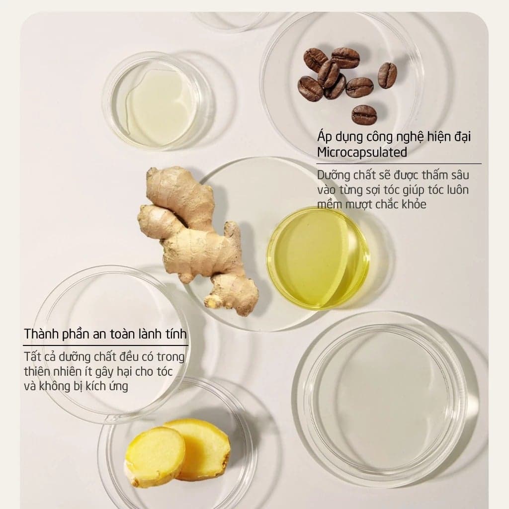 Spes Dầu gội Ginger Collagen Shampoo Oil Control And Volumizing 500ml thumb 6