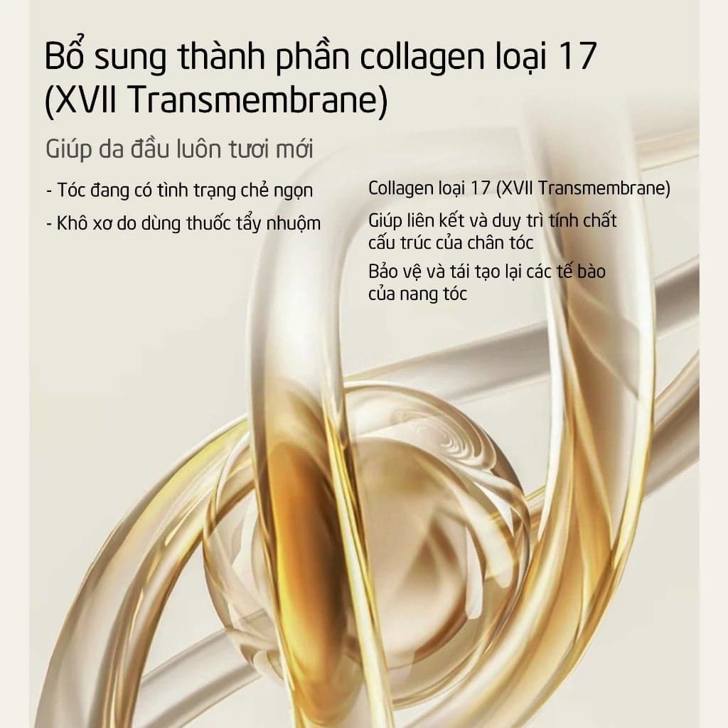 Spes Dầu gội Ginger Collagen Shampoo Oil Control And Volumizing 500ml thumb 5