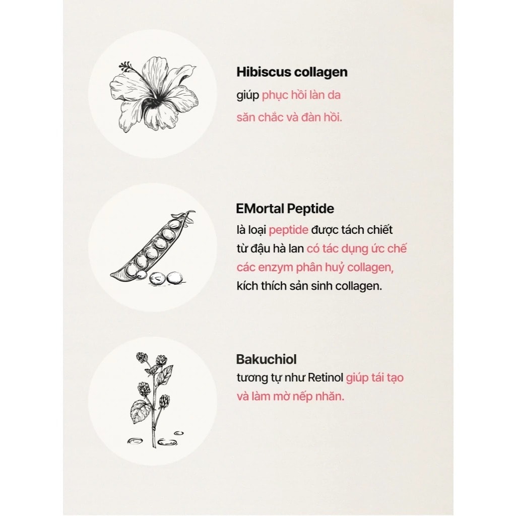 Luvum Kem trẻ hóa slow aging Phyto Collagen Cream 50ml 3