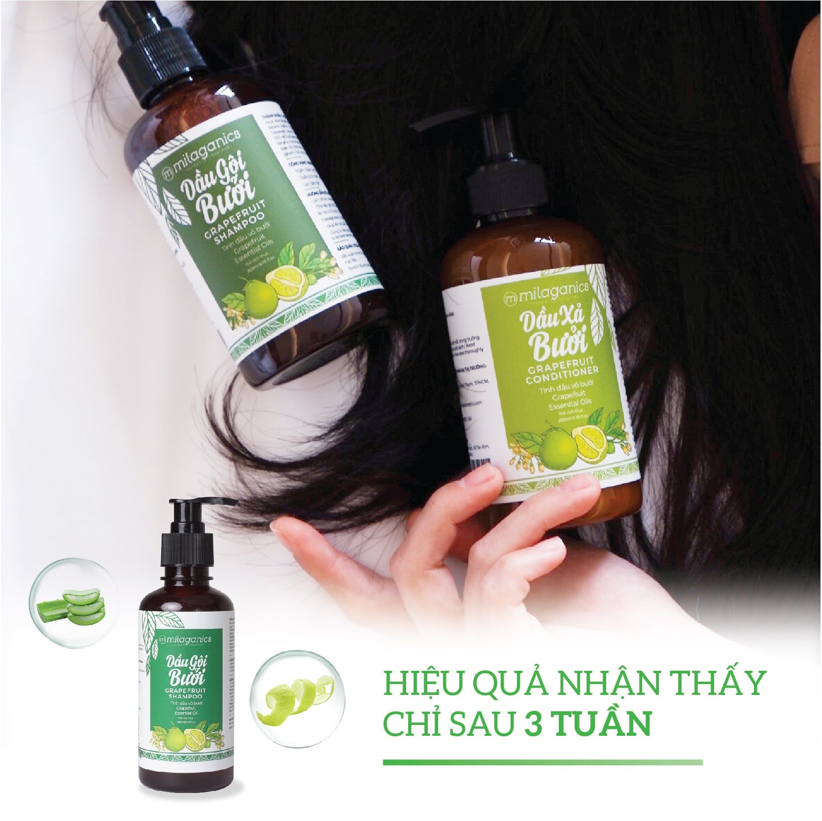 Dầu gội bưởi Milaganics 4