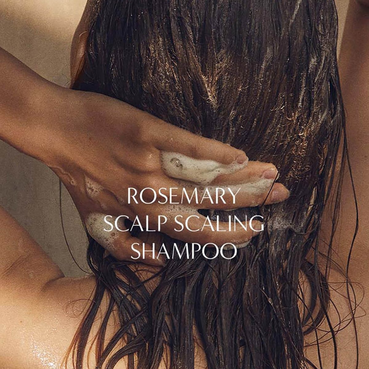 AROMATICA Dầu gội hưởng thảo Rosemary Scalp Scaling Shampoo 180ml 3