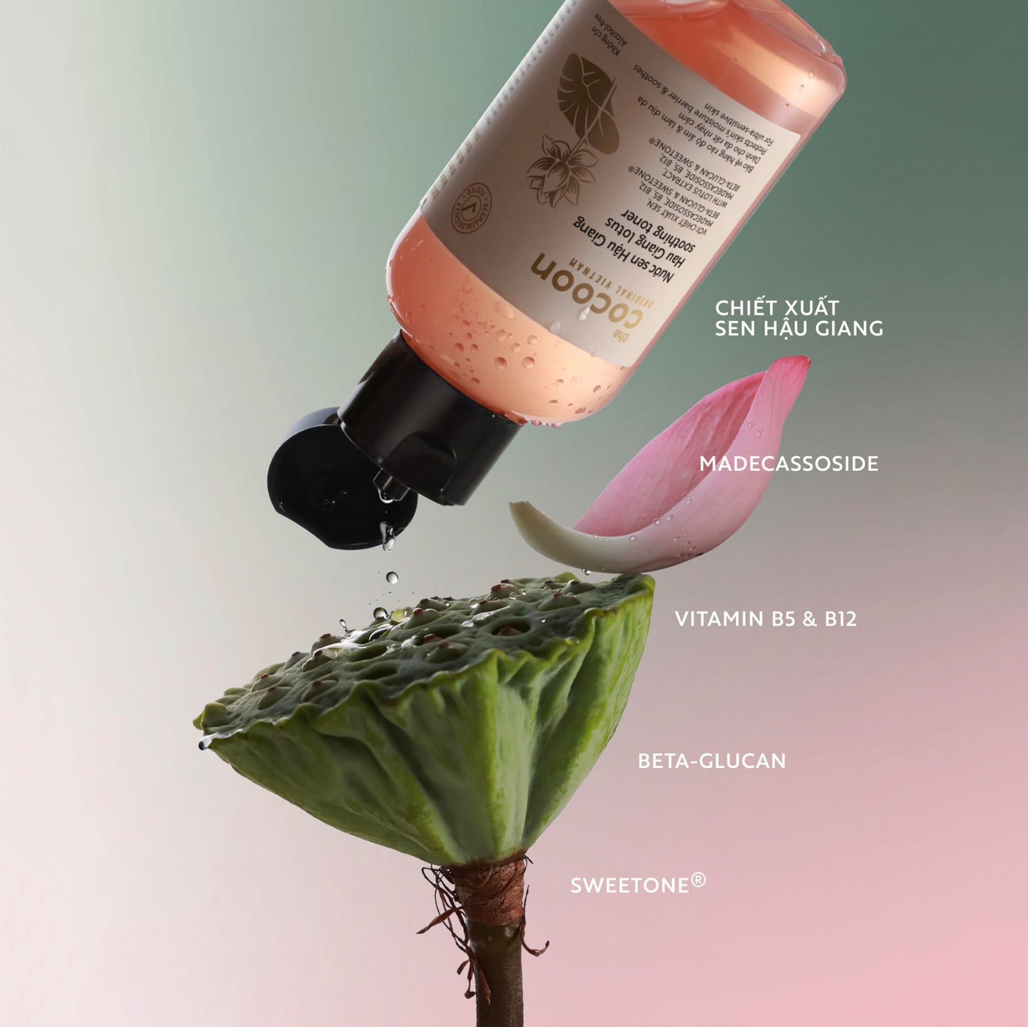 Cocoon Nước Sen Hậu Giang Lotus Soothing Toner 6