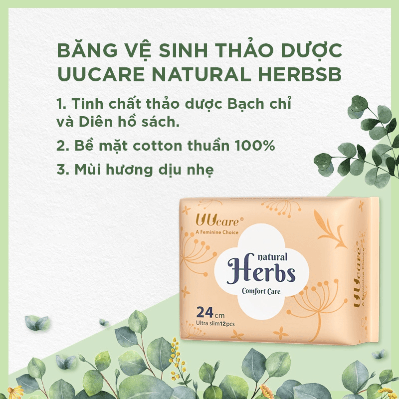 Uucare Natural Herbs BVS thảo dược ban ngày 24cm x 12 miếng thumb 2