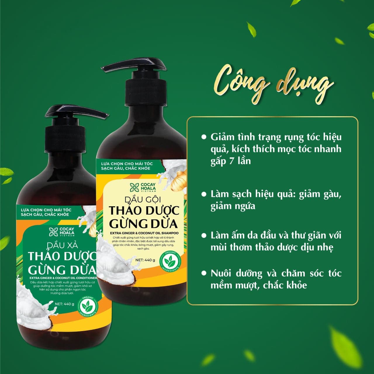 Dầu gội thảo dược Gừng - Dừa CoCayHoaLa 440g thumb 2
